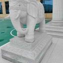 德州 白麻花岗岩动物异形石雕-大象