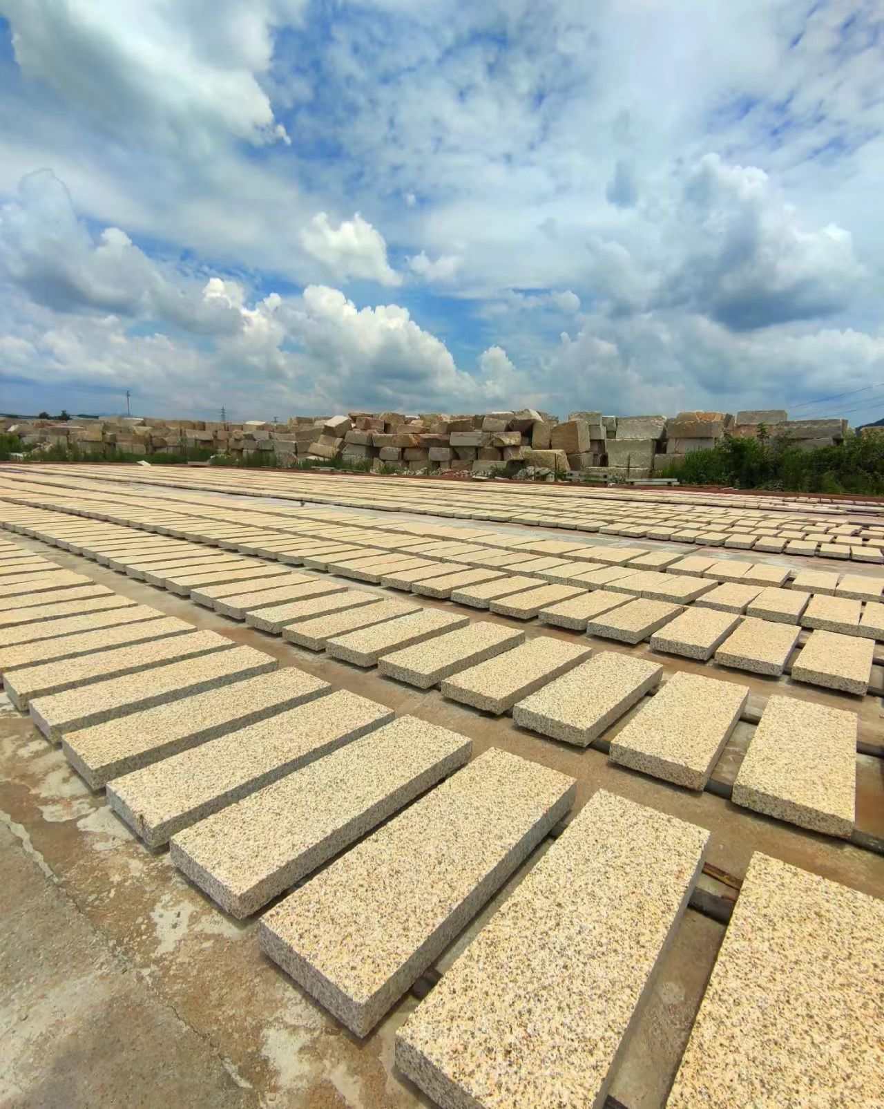 德州 黄金麻花岗岩荔枝面地铺石防护中