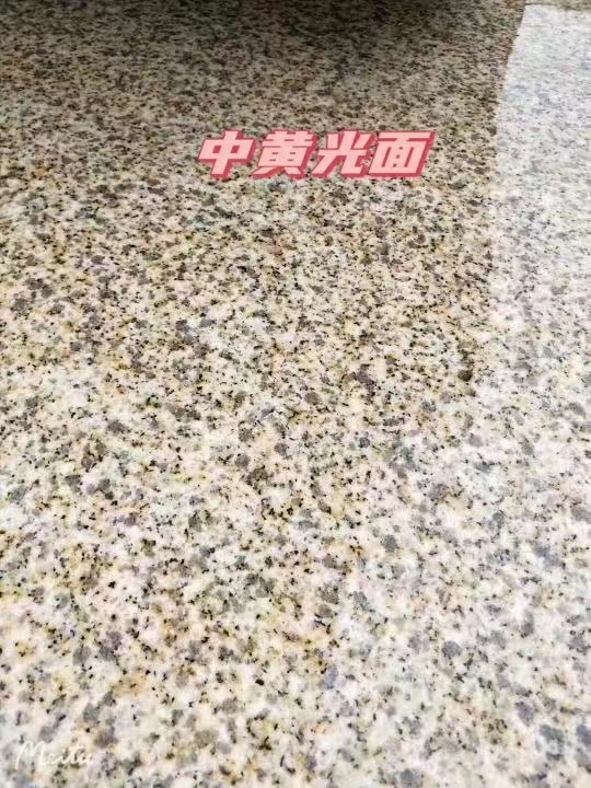 德州黄金麻中黄光面